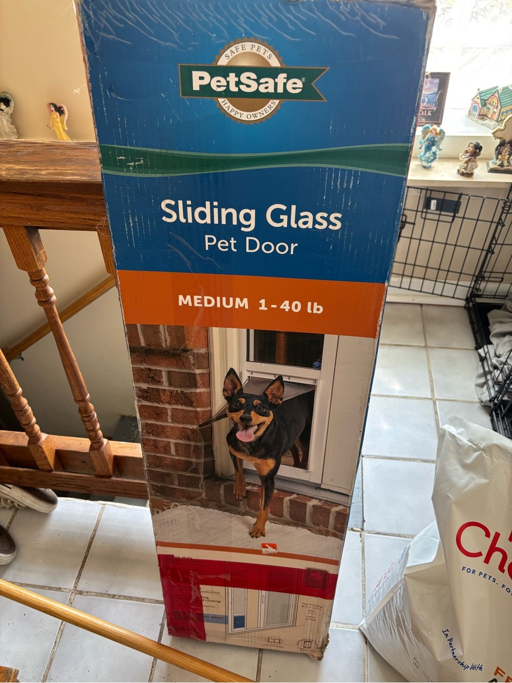 PetSafe Blue and Orange Sliding Glass Pet Door - Medium